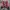 Y2K Bodysuit Wanita red photo 1