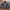 Streetwear Luxury Bomber jacket Pria multicolor navy photo 1