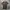 Issey Miyake Y2K Avant Garde T-shirt Wanita brown photo 1