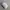 Nike Track jacket Pria cream photo 6
