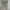 Dickies Streetwear Casual pants Pria gray photo 2