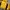 Vintage Windbreaker Pria black yellow photo 5