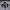 Streetwear Casual Puffer Jacket Pria White Black