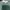 Coquette Casual Crop top Wanita green photo 2