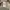 Fear of God ESSENTIALS Streetwear Luxury T-shirt Pria tan photo 8