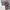Thom Browne Streetwear Casual Sweater Pria gray photo 4