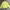 Uniqlo Casual Suit Pria Yellow