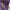 Marc Jacobs Minimalist Tote bag Wanita purple photo 3