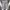 Urban Outfitters Vintage Y2K Tracksuit Pria Gray