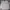AMI Paris Streetwear Luxury Sweatshirt Wanita gray photo 1