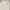 OshKosh Vintage Y2K Short Pria white photo 5