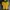 Sportswear Jersey Pria yellow photo 1