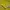 Yonex Sportswear Windbreaker Pria yellow photo 5