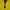 Yonex Sportswear Windbreaker Pria yellow photo 4