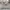 thisisneverthat Luxury Casual Hoody Pria gray photo 2