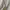 thisisneverthat Luxury Casual Hoody Pria gray photo 4