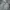 thisisneverthat Luxury Casual Hoody Pria gray photo 1