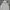 National Geographic Luxury Hoody Pria gray photo 1