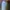 Von Dutch Vintage Futurist Hat Pria white photo 2