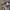 Von Dutch Vintage Futurist Hat Pria white photo 3