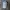 Von Dutch Vintage Futurist Hat Pria white photo 1