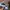 Von Dutch Vintage Futurist Hat Pria white photo 4