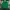 Nike Streetwear Bomber jacket Pria green photo 6