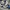 Compass Streetwear Sneakers Pria multicolor photo 2