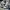 Compass Streetwear Sneakers Pria Multicolor