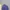 Fairy Futurist Sweatshirt Wanita purple photo 3