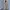 Salomon Casual Windbreaker Pria tan photo 4