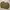 Indie Leather jacket Pria tan brown photo 1