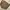 Indie Leather jacket Pria tan brown photo 2