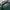 Umbro Vintage Y2K Puffer jacket Pria green black photo 4