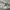 KIRSH Minimalist Casual Sweatshirt Pria gray photo 5