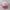 Vintage Streetwear Hat Pria white red photo 1