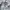 Adidas Streetwear Sportswear Windbreaker Pria white photo 6