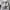 Adidas Streetwear Sportswear Windbreaker Pria white photo 7