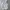 Adidas Streetwear Sportswear Windbreaker Pria white photo 2