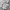Adidas Streetwear Sportswear Windbreaker Pria white photo 5