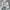 Adidas Streetwear Sportswear Windbreaker Pria white photo 3