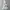 Adidas Streetwear Sportswear Windbreaker Pria White