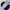 Lacoste Streetwear Sportswear Windbreaker Pria multicolor photo 5