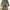 Streetwear Casual Parka Wanita gray photo 1