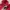 Tommy Hilfiger Streetwear Casual Hoody Pria red photo 4