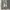 Adidas Casual Sneakers Pria white photo 1