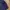 Calvin Klein Streetwear Casual Hoody Pria navy photo 4