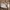 Coach Fairy Crossbody Bag Wanita white photo 2