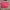 Coach Luxury Crossbody Bag Wanita pink photo 1