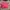 Coach Luxury Crossbody Bag Wanita Pink